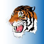 Aby's Indian Experience UK discount code